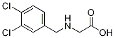 (3,4-Dichloro-benzylaMino)-acetic acid CAS#: 261959-65-3