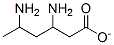 3,5-diaminohexanoate CAS#: 17027-83-7