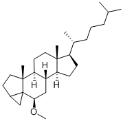 3ALPHA,5-CYCLO-5ALPHA-CHOLESTAN-6BETA-OL METHYL ETHER CAS#: 2867-93-8