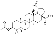 3BETA-ACETOXYBETULINIC ACID CAS#: 10376-50-8