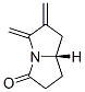 3H-Pyrrolizin-3-one,hexahydro-5,6-bis(methylene)-,(7aS)-(9CI) CAS#: 216172-36-0