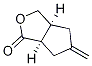 (3aS,6aR)-5-Methylenehexahydro-1H-cyclopenta[c]furan-1-one CAS#: 232610-36-5