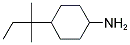 4-(1,1-DIMETHYLPROPYL)CYCLOHEXANAMINE CAS#: 208941-83-7