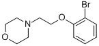 4-[2-(2-BROMOPHENOXY)ETHYL]MORPHOLINE CAS#: 101558-72-9