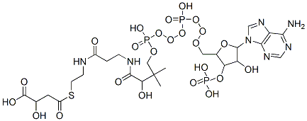 4-[2-[3-[4-[[[5-(6-aminopurin-9-yl)-4-hydroxy-3-phosphonooxy-oxolan-2-yl]methoxy-hydroxy-phosphoryl]oxy-hydroxy-phosphoryl]oxy-2-hydroxy-3,3-dimethyl-butanoyl]aminopropanoylamino]ethylsulfanyl]-2-hydroxy-4-oxo-butanoic acid CAS#: 2043-93-8