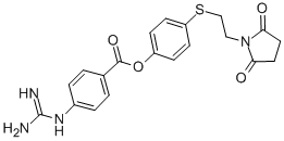 4-(2-succinimidoethylthio)phenyl 4-guanidinobenzoate CAS#: 114568-26-2