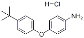 4-[4-(TERT-BUTYL)PHENOXY]ANILINE HYDROCHLORIDE CAS#: 10254-86-1