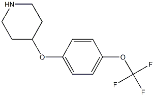 4-[4-(TRIFLUOROMETHOXY)PHENOXY]PIPERIDINE CAS#: 287952-67-4
