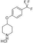 4-[4-(Trifluoromethoxy)phenoxy]piperidine CAS#: 28033-37-6