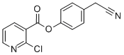 4-(CYANOMETHYL)PHENYL 2-CHLORONICOTINATE CAS#: 219930-05-9