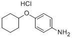4-CYCLOHEXYLOXY-PHENYLAMINE HYDROCHLORIDE CAS#: 105971-50-4