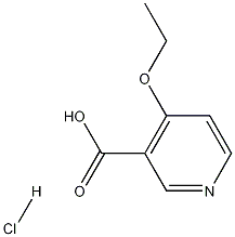 4-Ethoxypyridine-3-carboxylic acid hydrochloride CAS#: 10177-33-0