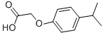 4-ISOPROPYLPHENOXYACETIC ACID CAS#: 1643-16-9