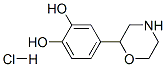 4-MORPHOLIN-2-YLPYROCATECHOL HYDROCHLORIDE CAS#: 13062-59-4