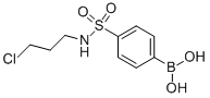 4-(N-(3-CHLOROPROPYL)SULFAMOYL)PHENYLBORONIC ACID CAS#: 874219-48-4
