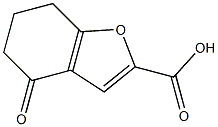 4-Oxo-4,5,6,7-tetrahydrobenzofuran-2-carboxylic acid CAS#: 108249-48-5