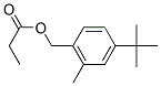 4-TERT-BUTYL-2,6-DIMETHYL BENZYL ACETATE CAS#: 19387-84-9