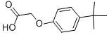 4-TERT-BUTYLPHENOXYACETIC ACID CAS#: 1798-04-5