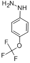 4-(TRIFLUOROMETHOXY)PHENYLHYDRAZINE HYDROCHLORIDE CAS#: 13957-54-5