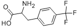 4-(TRIFLUOROMETHYL)-DL-PHENYLALANINE CAS#: 14091-16-8