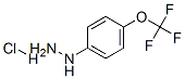 4-(Trifluoromethoxy)PhenylhydrazineHydrochloride CAS#: 13115-72-7