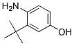 4-amino-3-tert-butylphenol CAS#: 24197-41-9