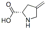 4-methyleneproline CAS#: 20309-87-9