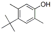 4-tert-butyl-2,5-xylenol CAS#: 17696-37-6