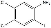 4,5-dichloro-2-iodobenzenaMine CAS#: 220185-63-7