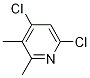 4,6-dichloro-2,3-diMethylpyridine CAS#: 101252-84-0