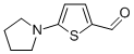 5-(1-PYRROLIDINYL)-2-THIOPHENECARBALDEHYDE CAS#: 24372-47-2