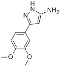 5-(3,4-DIMETHOXY-PHENYL)-2H-PYRAZOL-3-YLAMINE CAS#: 208519-08-8