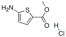5-AMINOTHIOPHENE-2-CARBOXYLICMETHYLESTERHYDROCHLORIDE CAS#: 14597-57-0