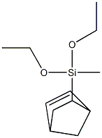 (5-BICYCLO[2.2.1]HEPT-2-ENYL)METHYLDIETHOXYSILANE CAS#: 113276-73-6
