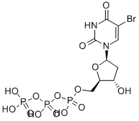 5-BROMO-2'-DEOXYURIDINE 5'-TRIPHOSPHATE SODIUM SALT CAS#: 102212-99-7