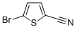 5-BROMOTHIOPHENE-2-CARBONITRILE CAS#: 2160-62-5