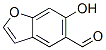5-Benzofurancarboxaldehyde, 6-hydroxy- CAS#: 20073-22-7