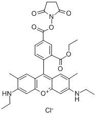 5-Carboxyrhodamine 6G succinimidyl ester CAS#: 209112-21-0