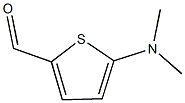5-(DIMETHYLAMINO)THIOPHENE-2-CARBALDEHYDE CAS#: 24372-46-1
