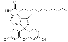 5-Dodecanoylaminofluorescein CAS#: 107827-77-0