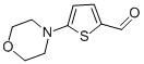 5-MORPHOLIN-4-YLTHIOPHENE-2-CARBALDEHYDE CAS#: 24372-49-4