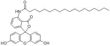 5-(OCTADECANOYLAMINO)FLUORESCEIN CAS#: 110698-53-8