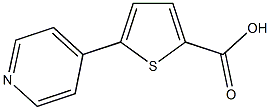 5-PYRID-4-YLTHIOPHENE-2-CARBOXYLIC ACID CAS#: 216867-32-2