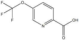 5-(TRIFLUOROMETHOXY)PYRIDINE-2-CARBOXYLIC ACID CAS#: 102771-66-4