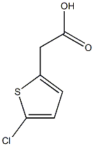 5-chloro-2-Thiopheneacetic acid CAS#: 13669-19-7