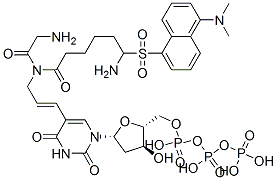 5-(dansylglycyl-6-aminohexanoylaminoprop-1-enyl)-2'-deoxyuridine 5'-triphosphate CAS#: 109921-29-1