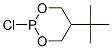 5-tert-Butyl-2-chloro-1,3,2-dioxaphosphorinane CAS#: 21135-08-0