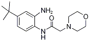 5-(tert-Butyl)-2-[(morpholin-4-yl)acetamido]aniline, 5-(tert-Butyl)-2-[(morpholin-4-yl)acetylamino]aniline, 4-(2-{[2-Amino-4-(tert-butyl)phenyl]amino}-2-oxoethyl)morpholine CAS#: 287927-90-6