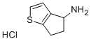 5,6-DIHYDRO-4H-CYCLOPENTA[B]THIOPHEN-4-YLAMINE HYDROCHLORIDE CAS#: 108046-27-1