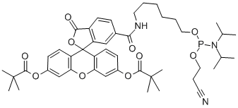 5'(6)-FAM CAS#: 204697-37-0